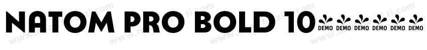 Natom Pro Bold 10字体转换